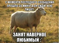 С момента последнего сообщения прошло 30 минут,а он сидит и не пишет. Занят наверное Любимый :*