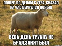 пошел по делам с утра ,сказал на час,вернулся ночью весь день трубку не брал,занят был