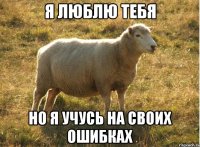 Я люблю тебя Но я учусь на своих ошибках