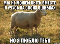 Мы не можем быть вместе, я учусь на своих ошибках но я люблю тебя