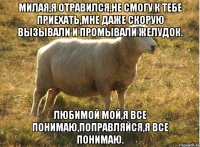 Милая,я отравился,не смогу к тебе приехать,мне даже скорую вызывали и промывали желудок. Любимой мой,я все понимаю,поправляйся,я все понимаю.