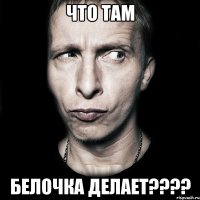 что там белочка делает????