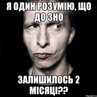 Я один розумію, що до ЗНО залишилось 2 місяці??