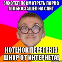 Захотел посмотреть порно только зашел на сайт котенок перегрыз шнур от интернета!