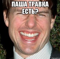 Паша травка есть? 