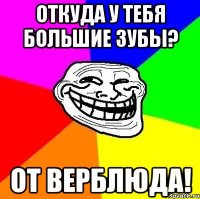 откуда у тебя большие зубы? от верблюда!