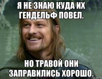 Я не знаю куда их Гендельф повел. Но травой они заправились хорошо.