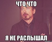 что,что я не раслышал