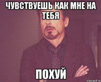 Чувствуешь как мне на тебя похуй