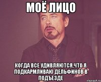 моё лицо когда все удивляются,что я подкармливаю дельфинов в подъезде