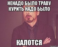 ненадо было траву курить надо было калотся