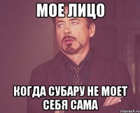 Мое лицо Когда субару не моет себя сама