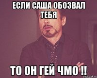 Если Саша обозвал тебя То он ГЕЙ чмо !!
