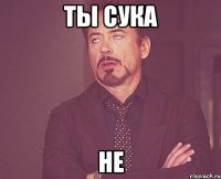 ты сука не