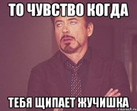 то чувство когда тебя щипает Жучишка