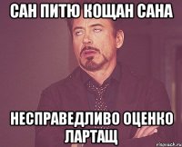 сан питю кощан сана несправедливо оценко лартащ