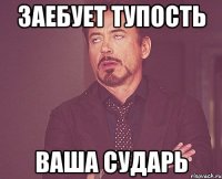 Заебует тупость Ваша сударь