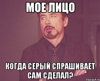 Мое лицо когда серый спрашивает сам сделал?