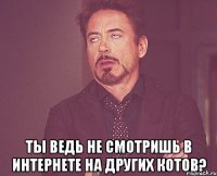  ты ведь не смотришь в интернете на других котов?