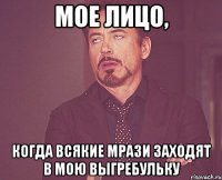 мое лицо, когда всякие мрази заходят в мою выгребульку