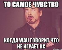 То самое чувство Когда wau говорит что не играет кс