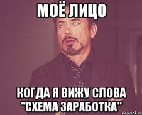 моё лицо когда я вижу слова "схема заработка"