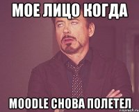 мое лицо когда moodle снова полетел