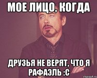 Мое лицо, когда друзья не верят, что я Рафаэль :С