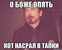 о боже опять кот насрал в тапки