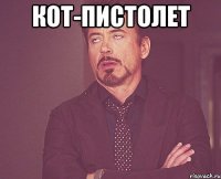 кот-пистолет 