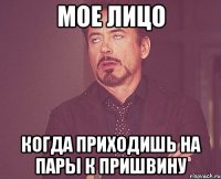 мое лицо когда приходишь на пары к Пришвину