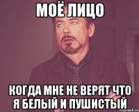 моё лицо когда мне не верят что я белый и пушистый