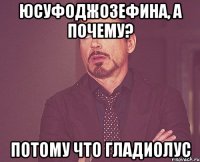 Юсуфоджозефина, а почему? Потому что ГЛАДИОЛУС