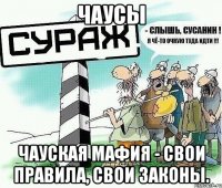 Чаусы Чауская мафия - свои правила, свои законы.