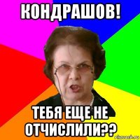 Кондрашов! Тебя еще не отчислили??