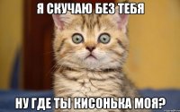 я скучаю без тебя ну где ты кисонька моя?