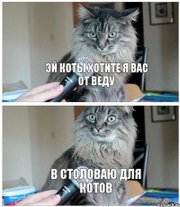 эй коты хотите я вас от веду в столоваю для котов