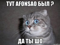 тут Afonsao был ? ДА ТЫ ШО