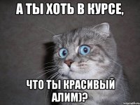 А ты хоть в курсе, что ты красивый Алим)?