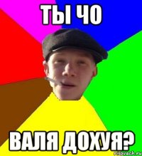 Ты чо Валя дохуя?