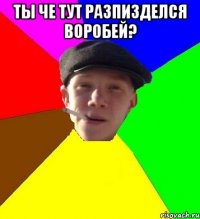 ТЫ ЧЕ ТУТ РАЗПИЗДЕЛСЯ ВОРОБЕЙ? 