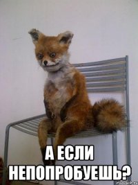  А ЕСЛИ НЕПОПРОБУЕШЬ?