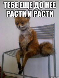 тебе еще до нее расти и расти 