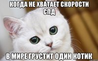 КОГДА НЕ ХВАТАЕТ СКОРОСТИ СПД В МИРЕ ГРУСТИТ ОДИН КОТИК