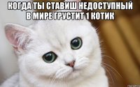 Когда ты ставиш недоступный в мире грустит 1 котик 