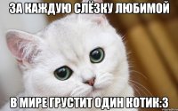 За каждую слёзку любимой В мире грустит один котик:3