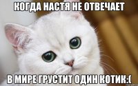 Когда Настя не отвечает В мире грустит один котик:(