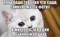 пока паша говорил что саша скинул ему эту фотку в мире грустил один ебанный кошак