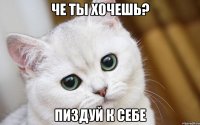 че ты хочешь? пиздуй к себе