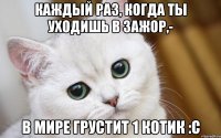 Каждый раз, когда ты уходишь в зажор,- В мире грустит 1 котик :с